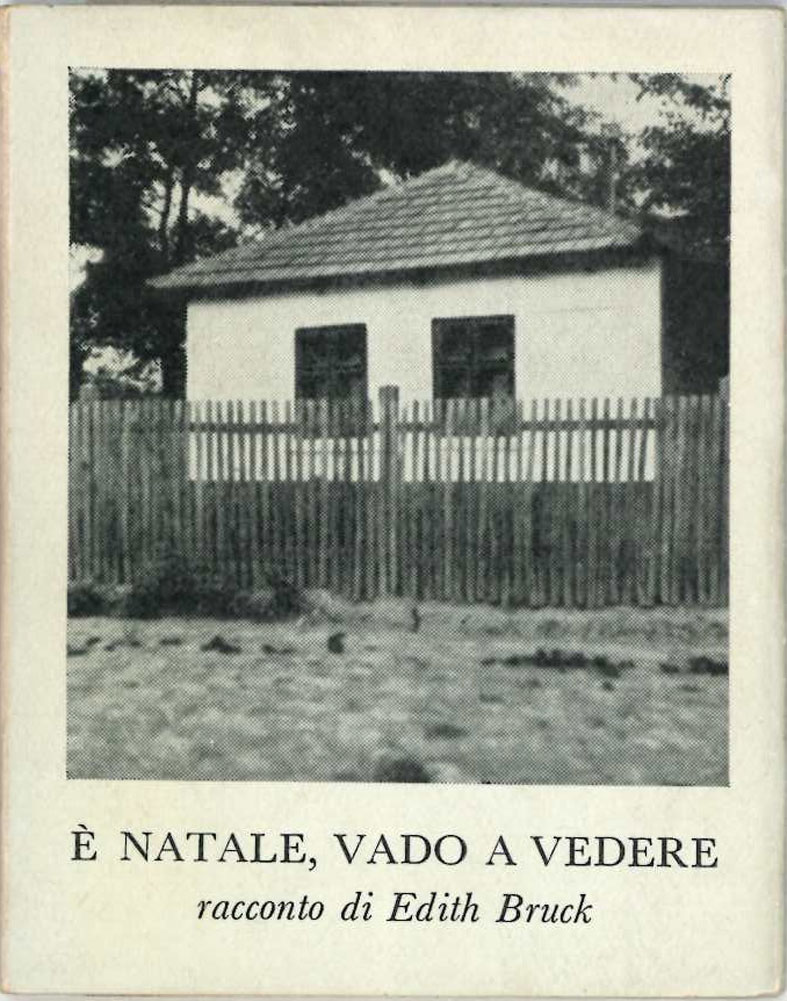 e’ natale, vado a vedere. racconto.