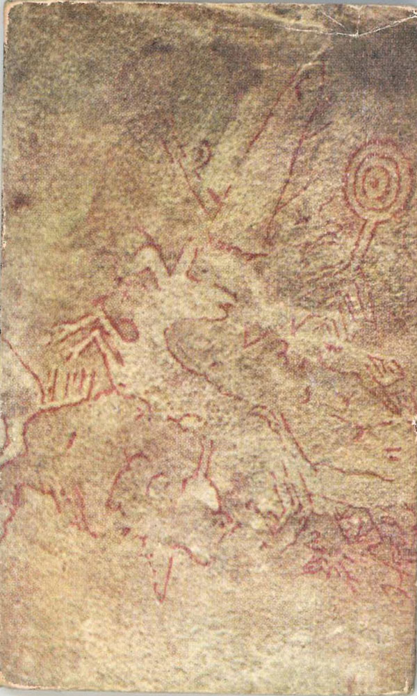 poesie degli indios piaroa