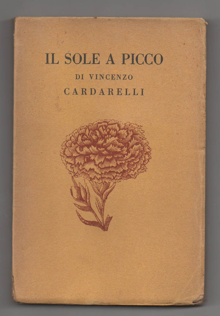 il sole a picco [seconda edizione]