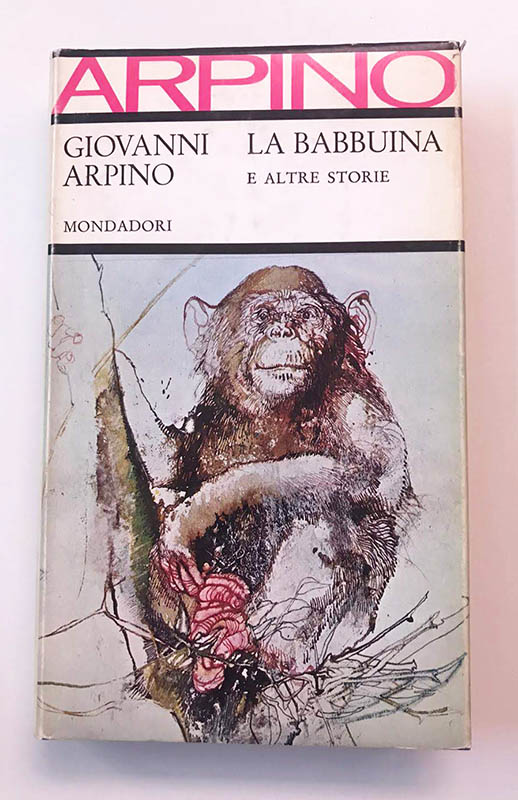 la babbuina e altre storie
