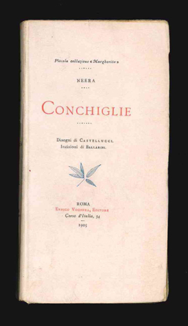 conchiglie. disegni di castellucci. incisioni di ballarini