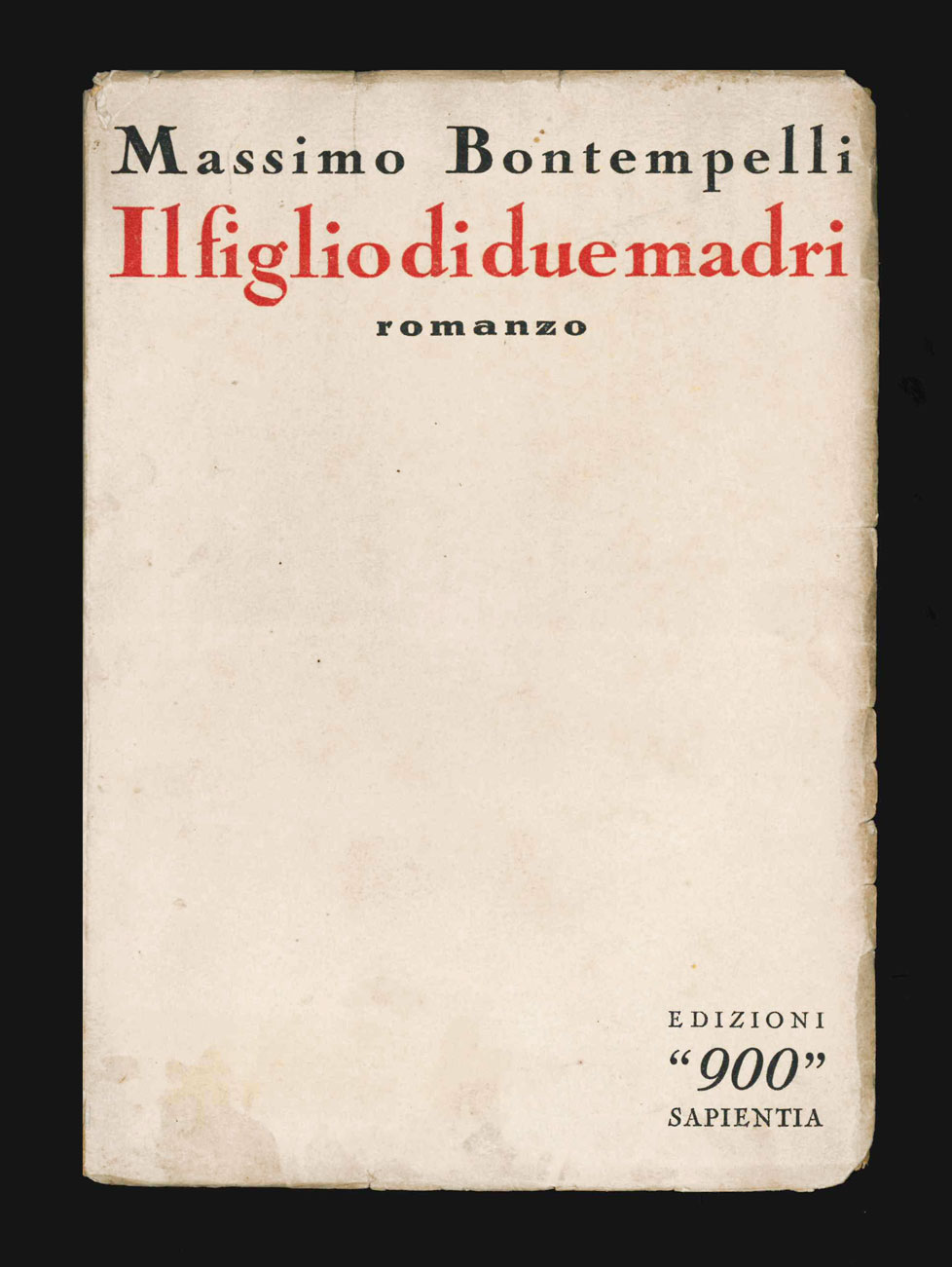 il figlio di due madri. romanzo
