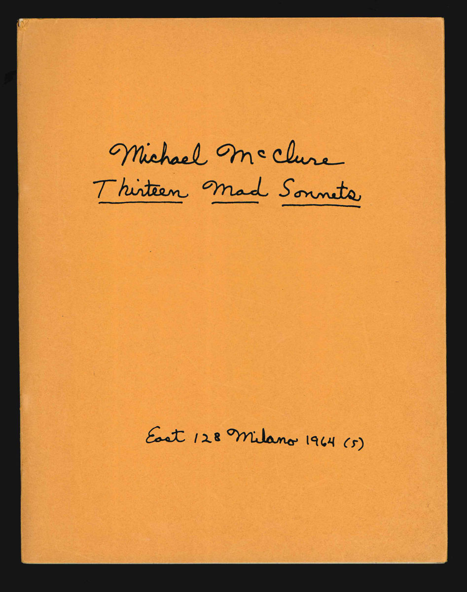 thirteen mad sonnets