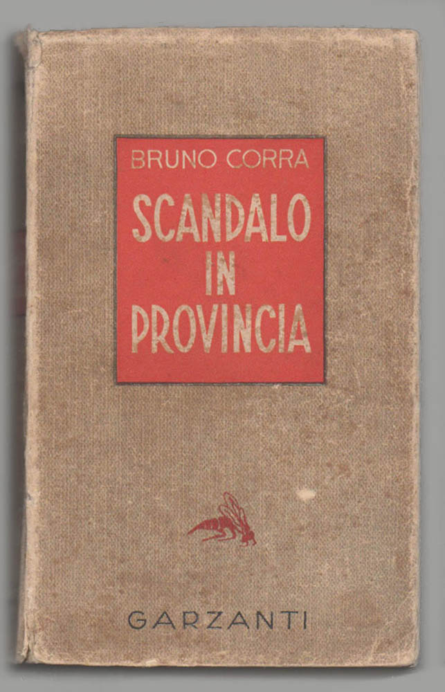 scandalo in provincia. romanzo
