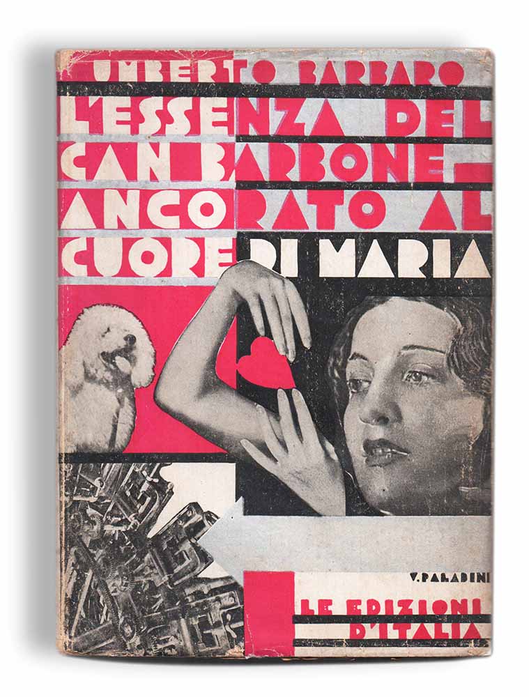 l’essenza del can barbone