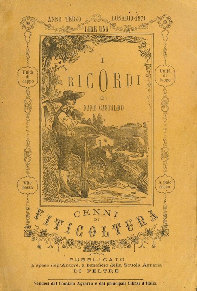 i ricordi di nane castaldo. cenni di viticoltura