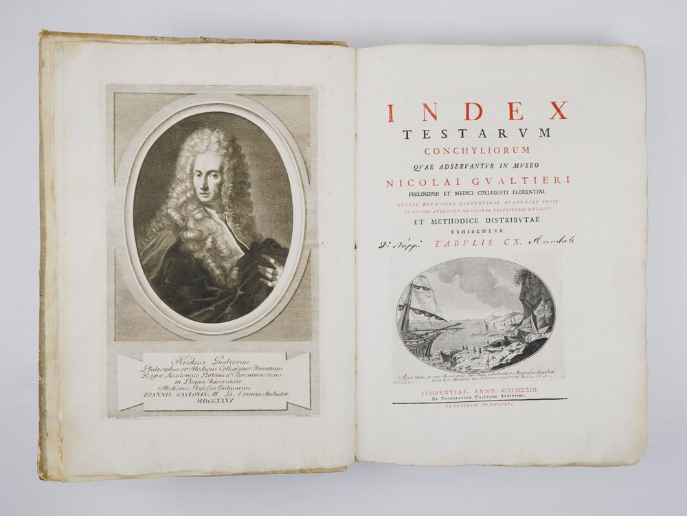 index testarum conchyliorum quae adservantur in museo nicolai gualtieri ...  et methodicae distributae exhibentur tabulae cx