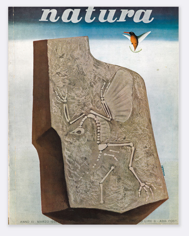 natura: rivista mensile illustrata. n. xi 3