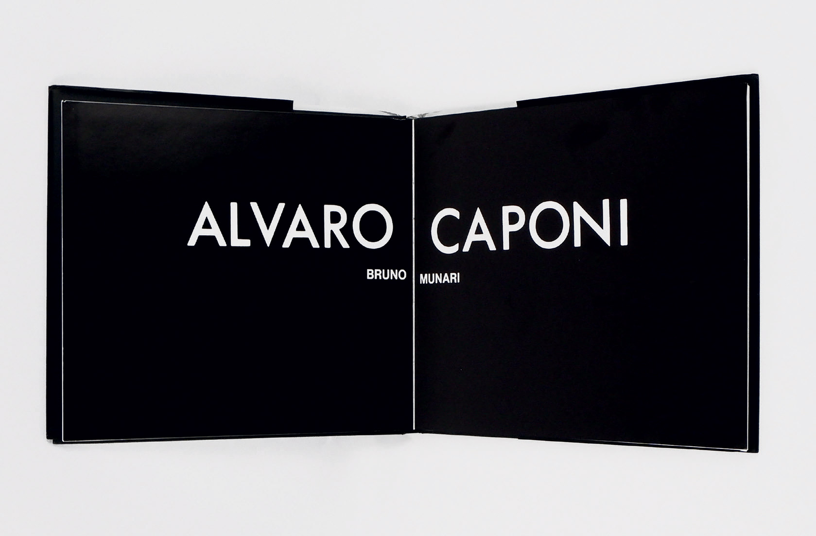alvaro caponi