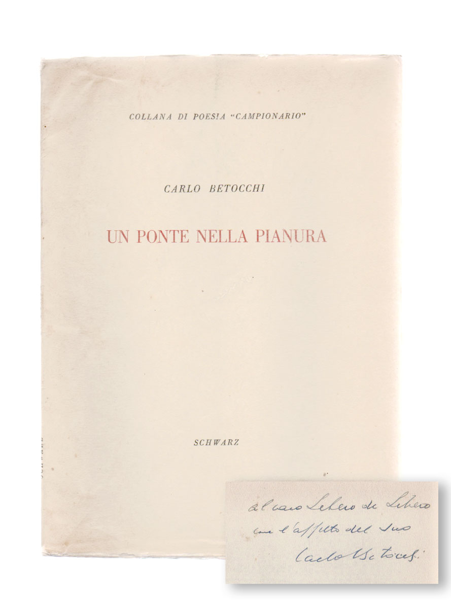 un ponte nella pianura
