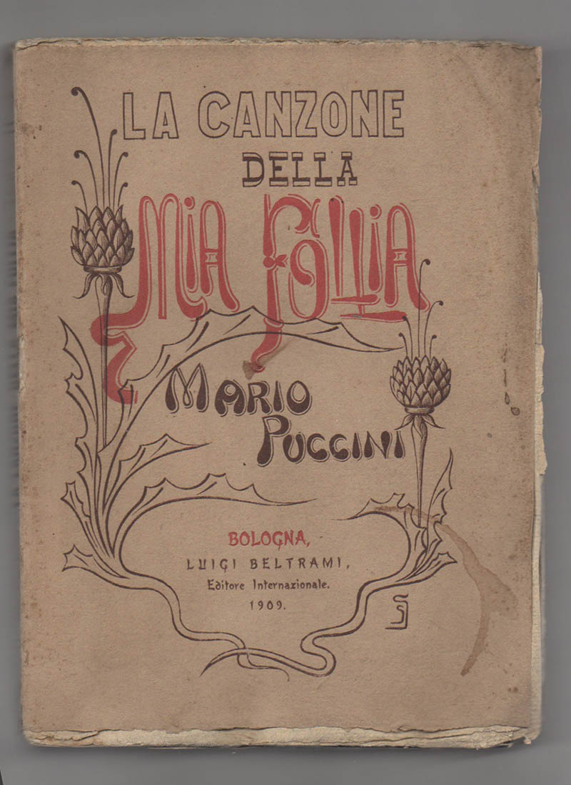 la canzone della mia follia