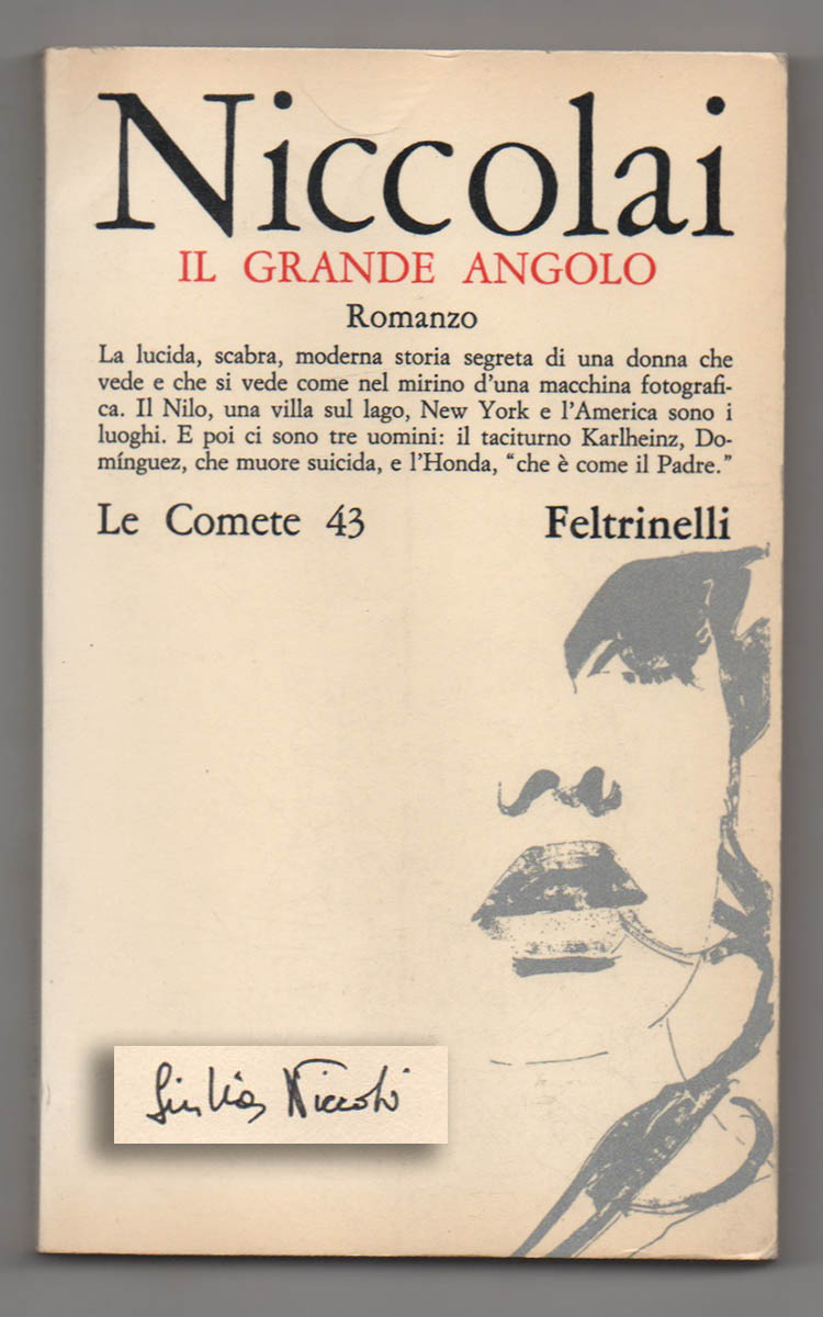 il grande angolo. romanzo