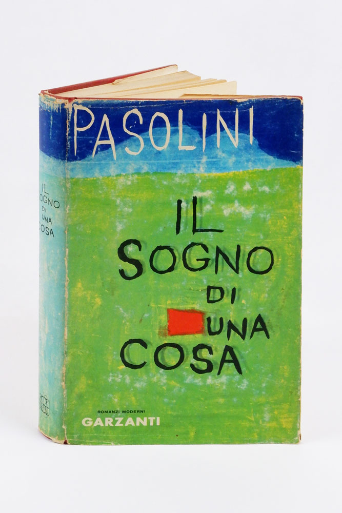 il sogno di una cosa. romanzo
