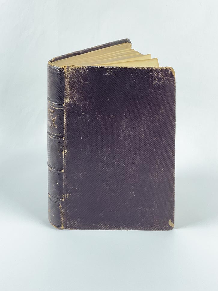 vita di alberto pisani scritta da carlo dossi